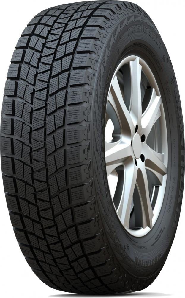 Автомобильные шины Habilead IceMax RW501 205/55R16 91H